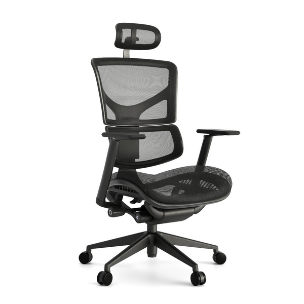 Zen 2 Mesh Office Chair